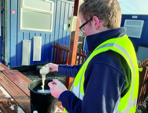 Supported Internships at Condover College: Empowering Students for the Future